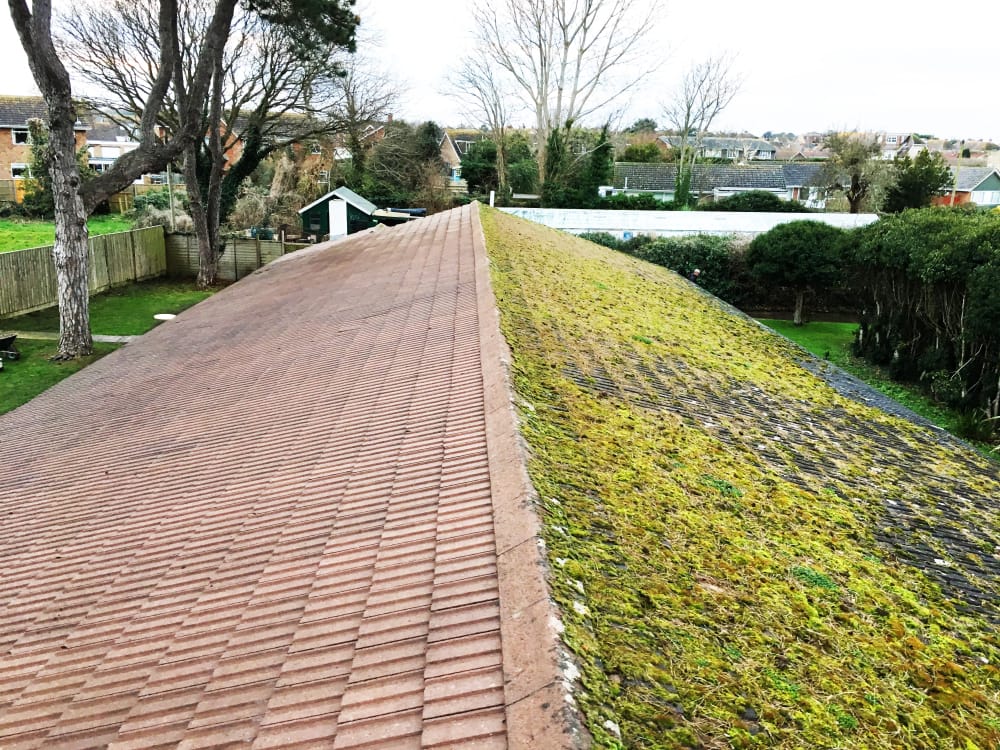 Newgents Isle of Wight Bins, Gutter Cleaning & External Jetwashing